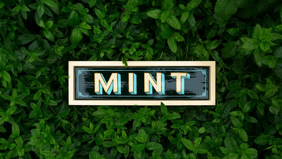 Quelle énergie choisir : mint énergie